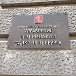 Управление ветеринарии Санкт-Петербурга. Схема проезда.